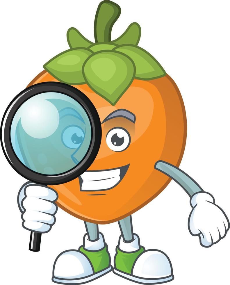Persimmon Fruit Vector