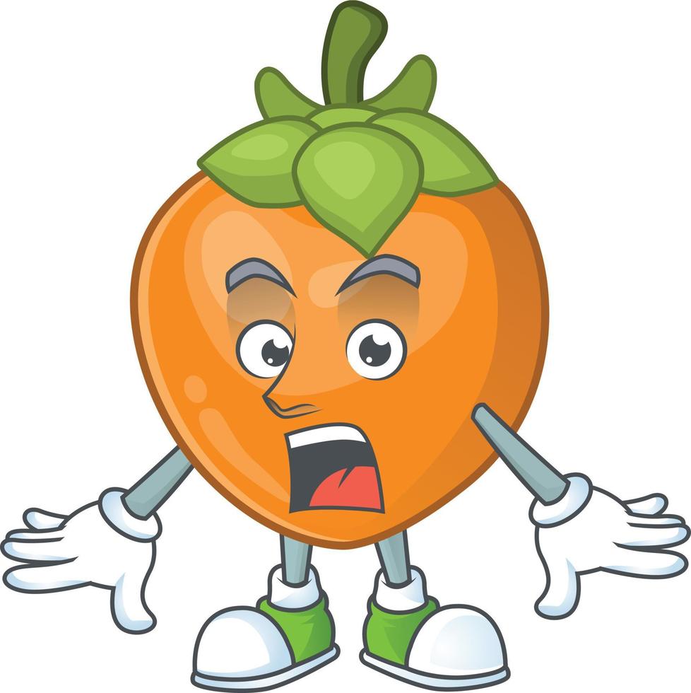 Persimmon Fruit Vector