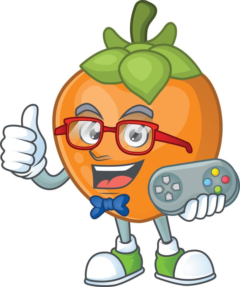 Persimmon Fruit Vector