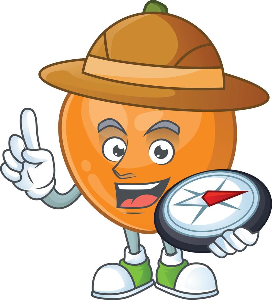 Persimmon Fruit Vector