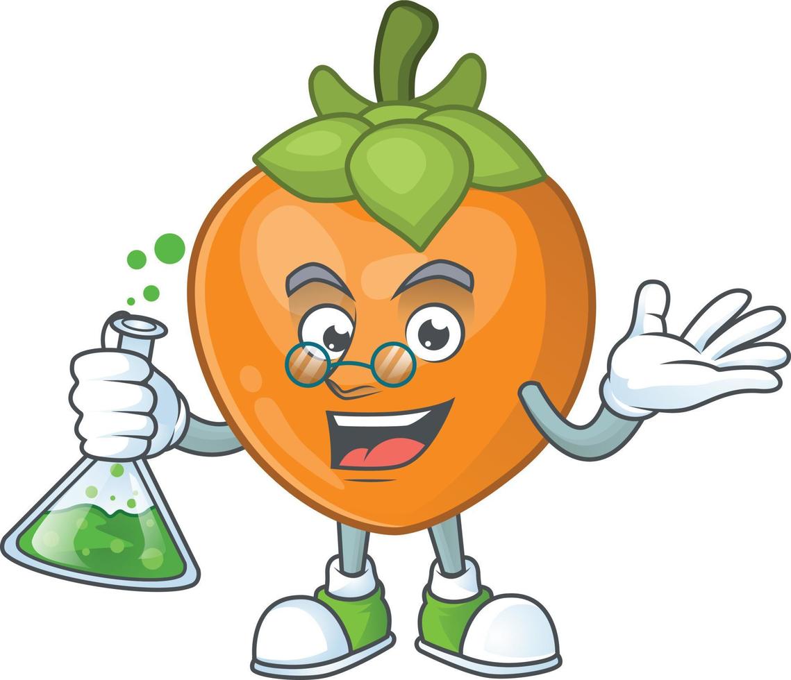 Persimmon Fruit Vector