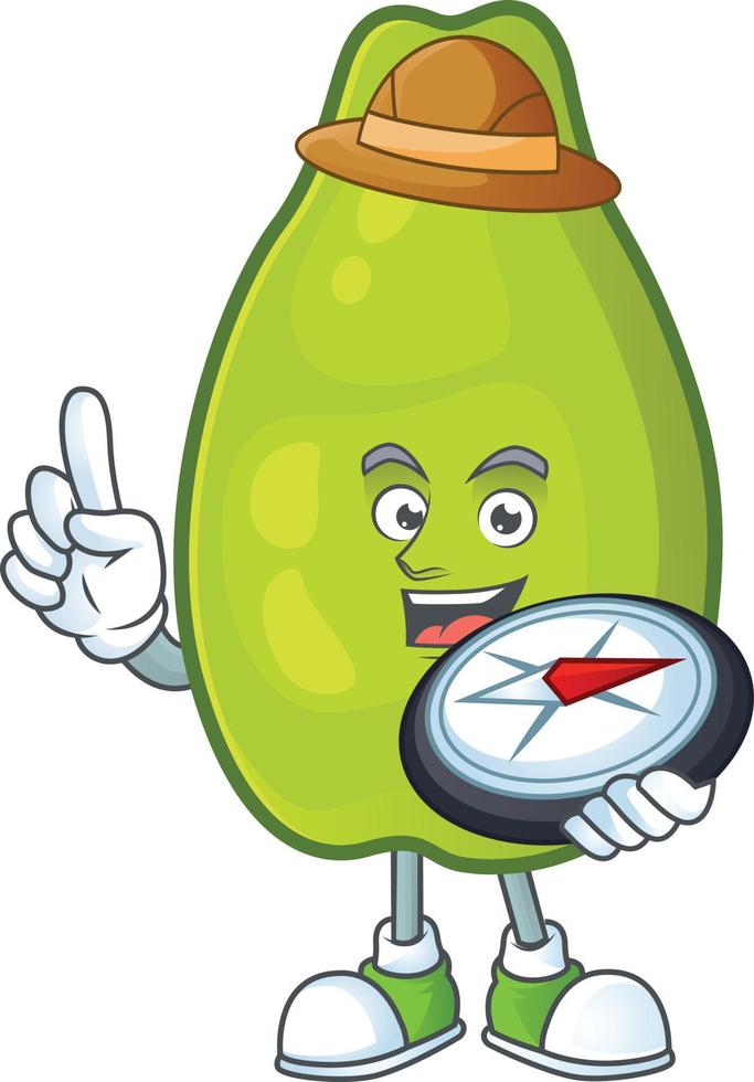 Papaya Fruit Vector