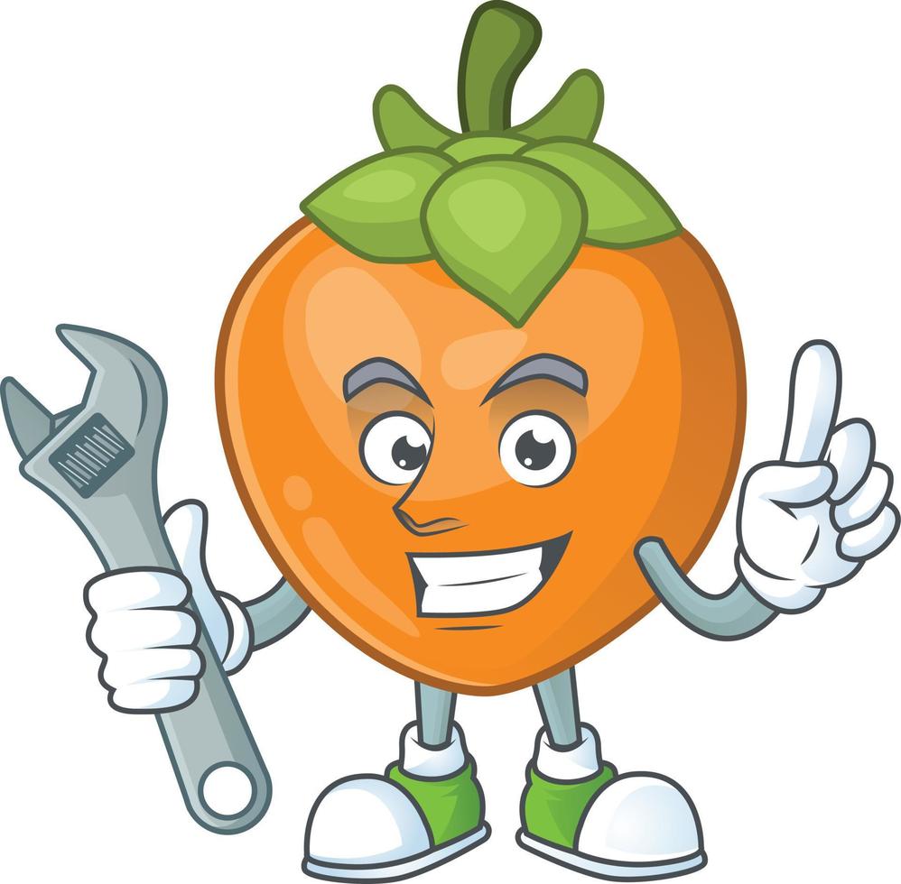 Persimmon Fruit Vector