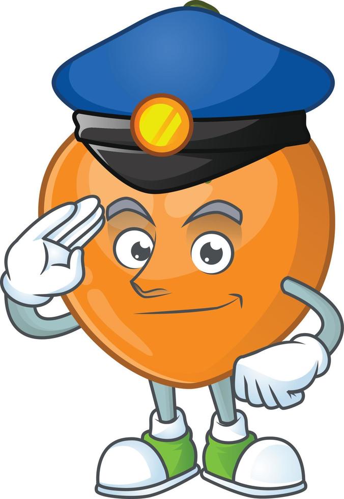 Persimmon Fruit Vector