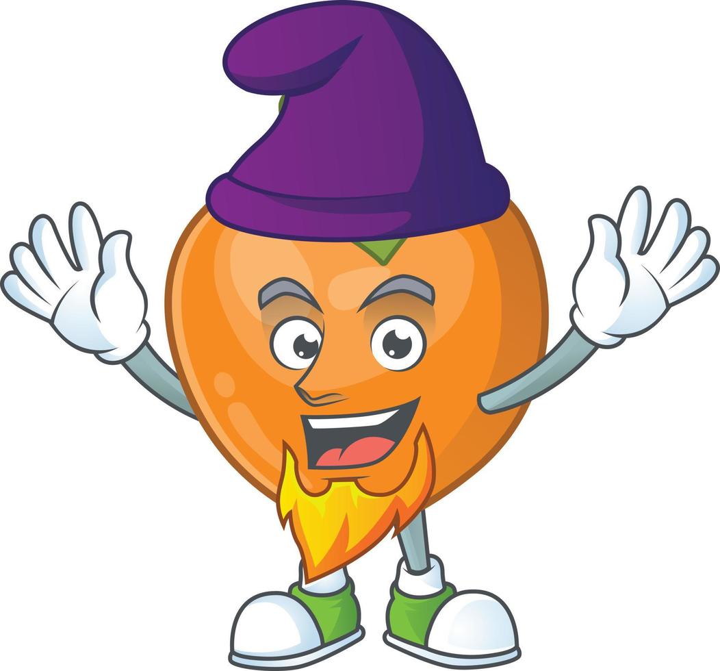 Persimmon Fruit Vector
