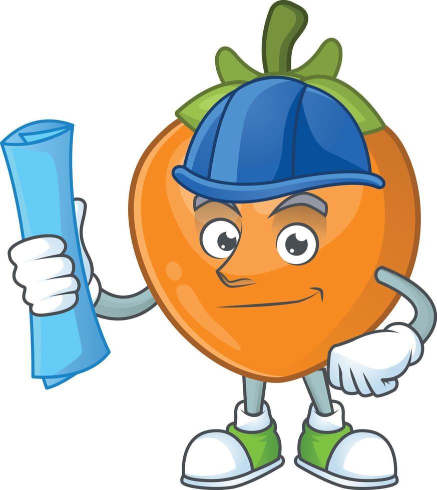 Persimmon Fruit Vector