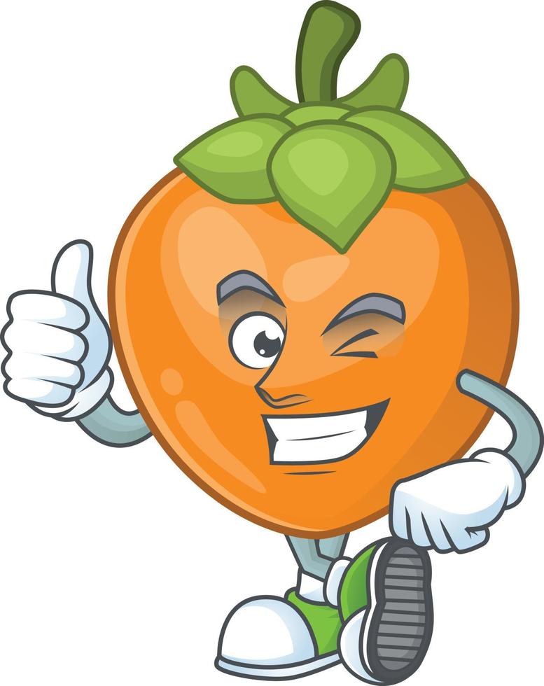 Persimmon Fruit Vector