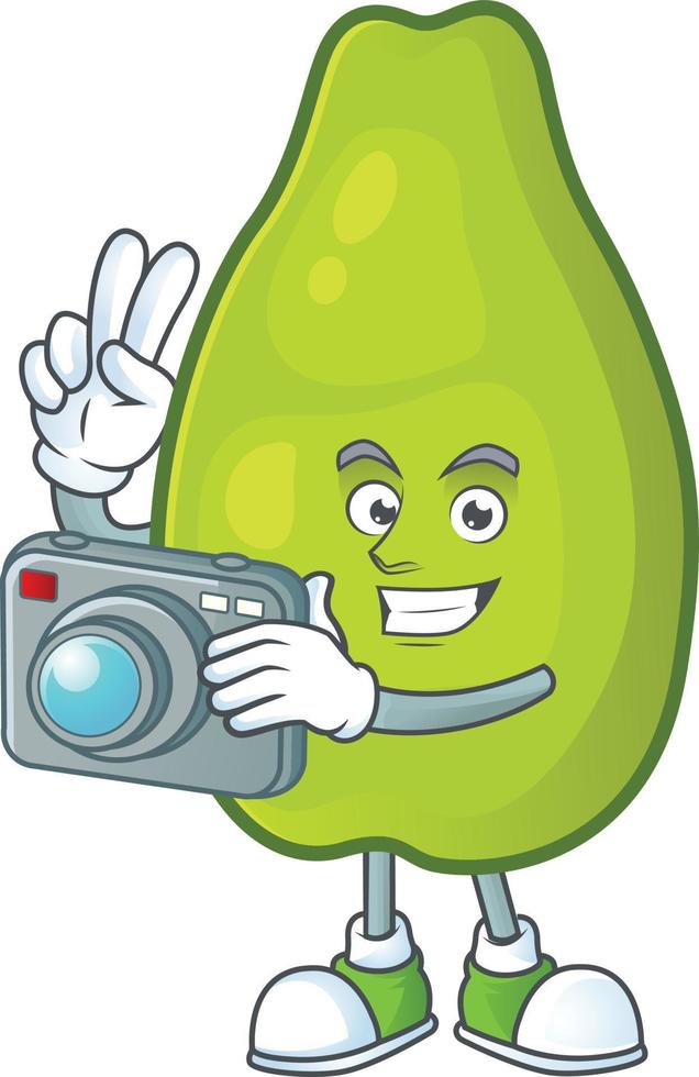 Papaya Fruit Vector