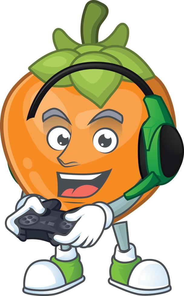 Persimmon Fruit Vector