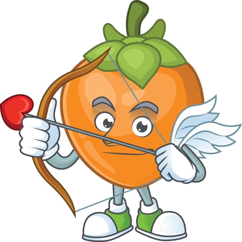 Persimmon Fruit Vector