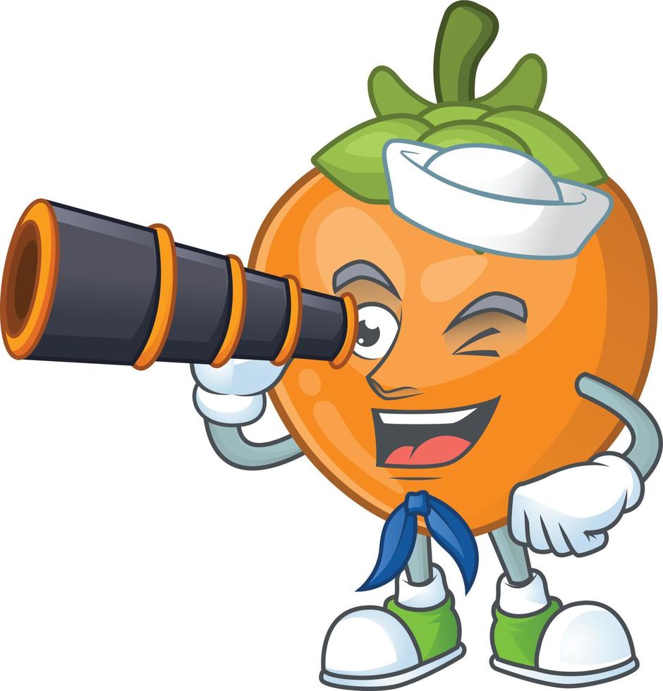 Persimmon Fruit Vector