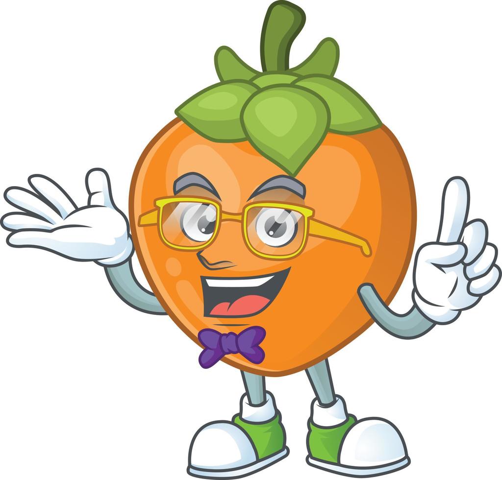Persimmon Fruit Vector