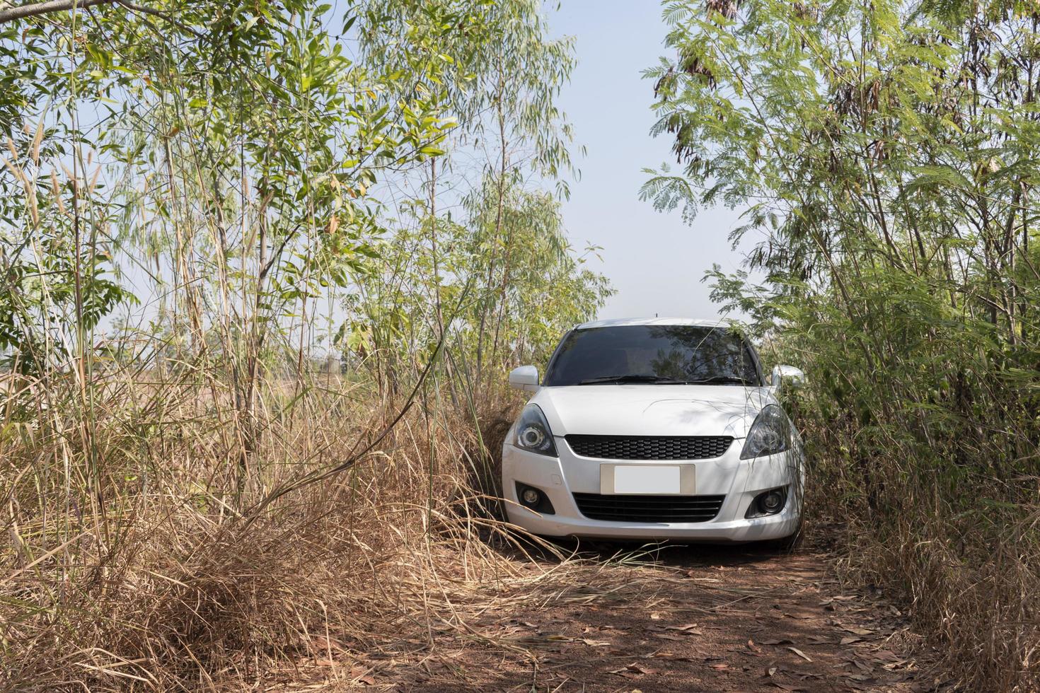 coche blanco en camino de tierra foto