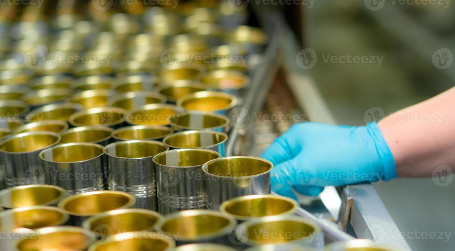 Selective focus on canned fish factory. Food industry. Food processing production line. Food manufacturing industry. Many can of sardines on a conveyor belt. Worker working in food processing factory. photo