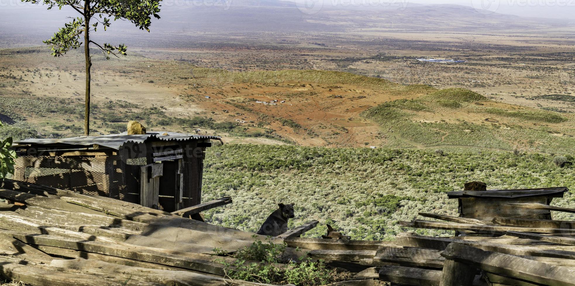 Two dogs enjoy the view of the Great Rift Valley in Kenya. photo