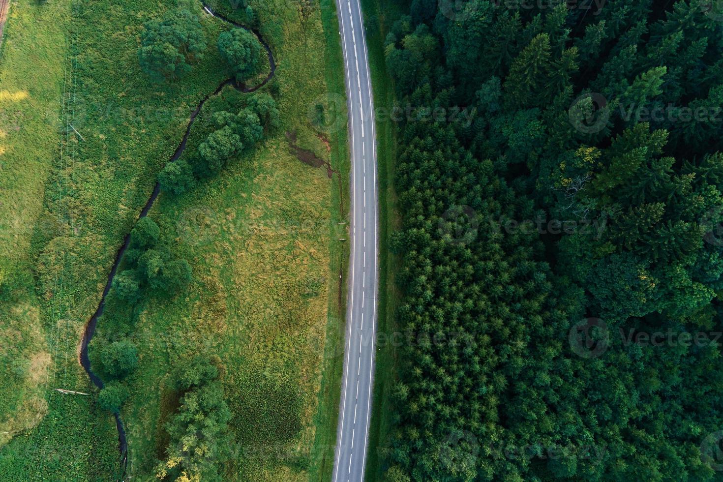 camión moviéndose en la carretera a través del bosque de pinos, vista aérea foto