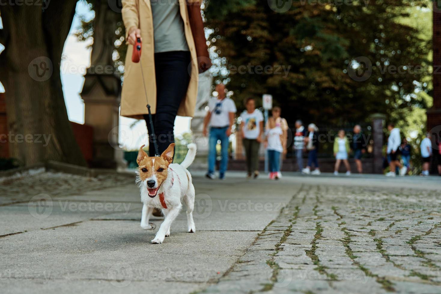 Woman walks with dog photo