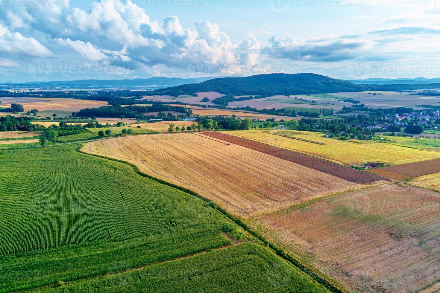 Aerial view of agricultural and green fields in countryside photo