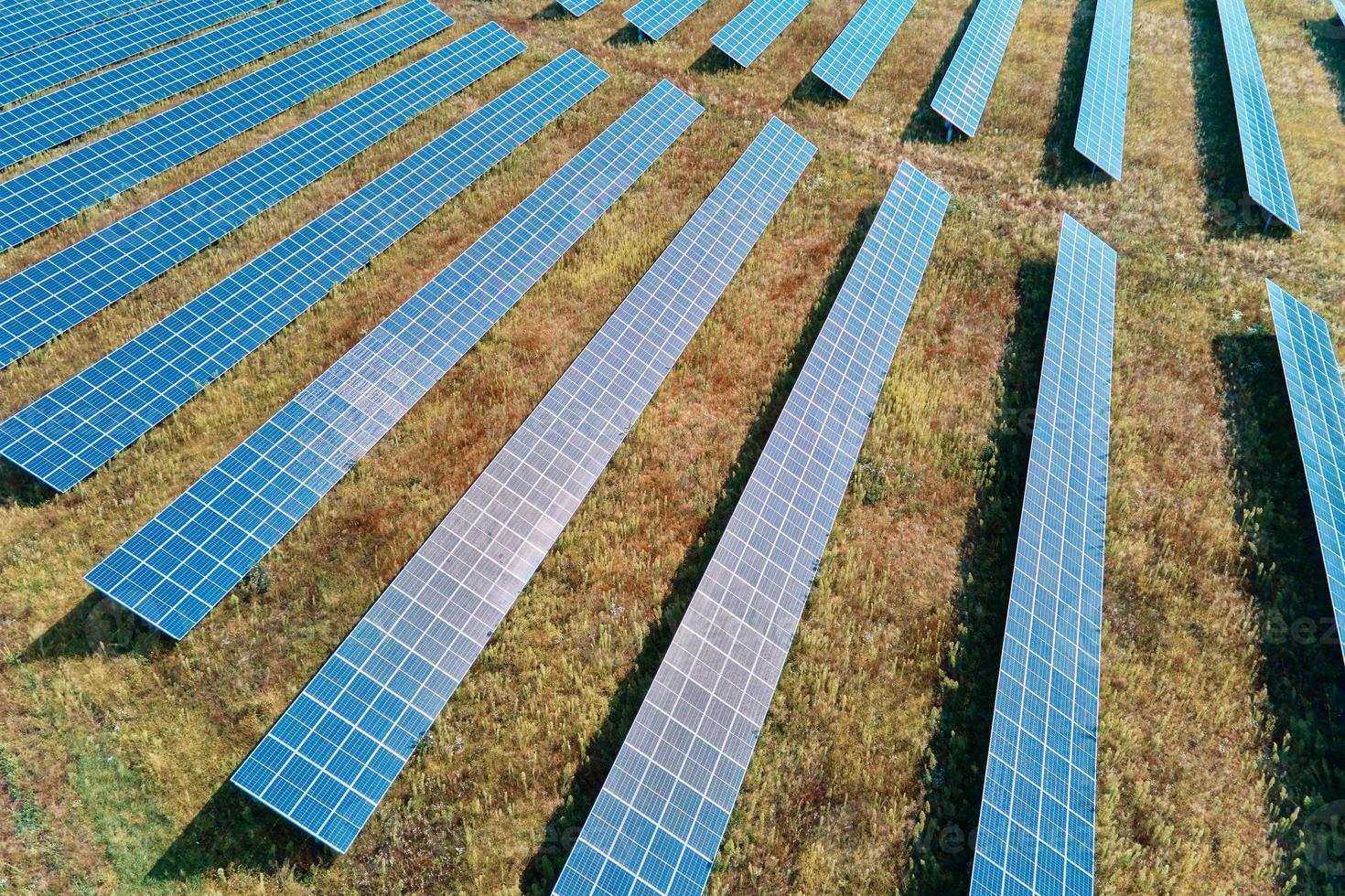 Solar panels farm in the field photo