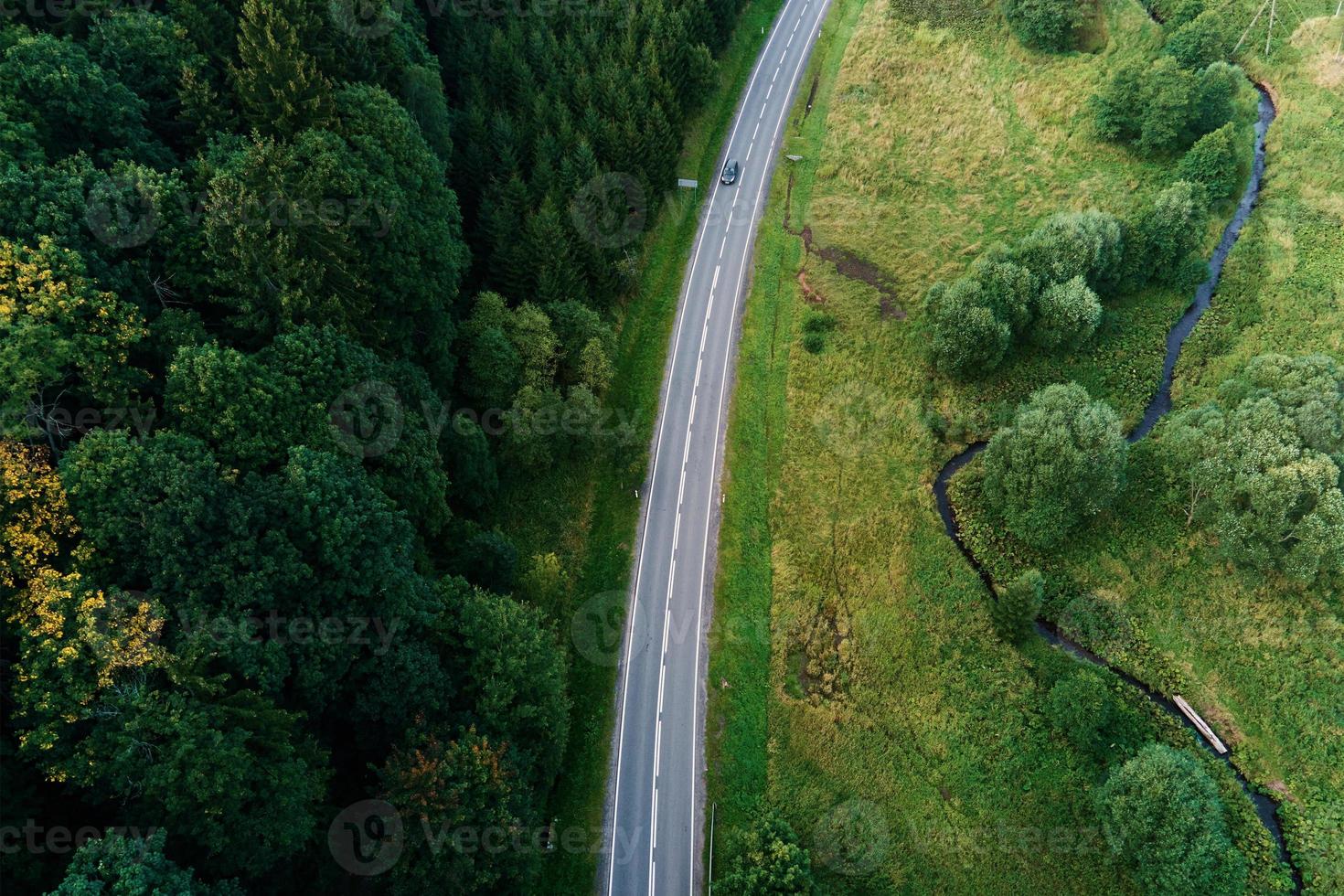 Car moving on road through pine tree forest, aerial view photo