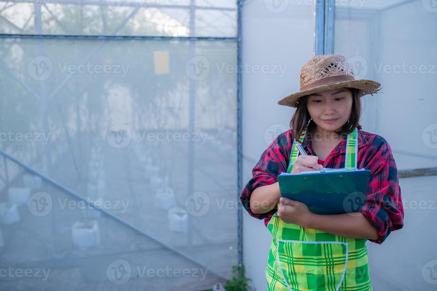 Asian farmer woman working at salad farm,Female asia Growing vegetables for a wholesale business in the fresh market photo