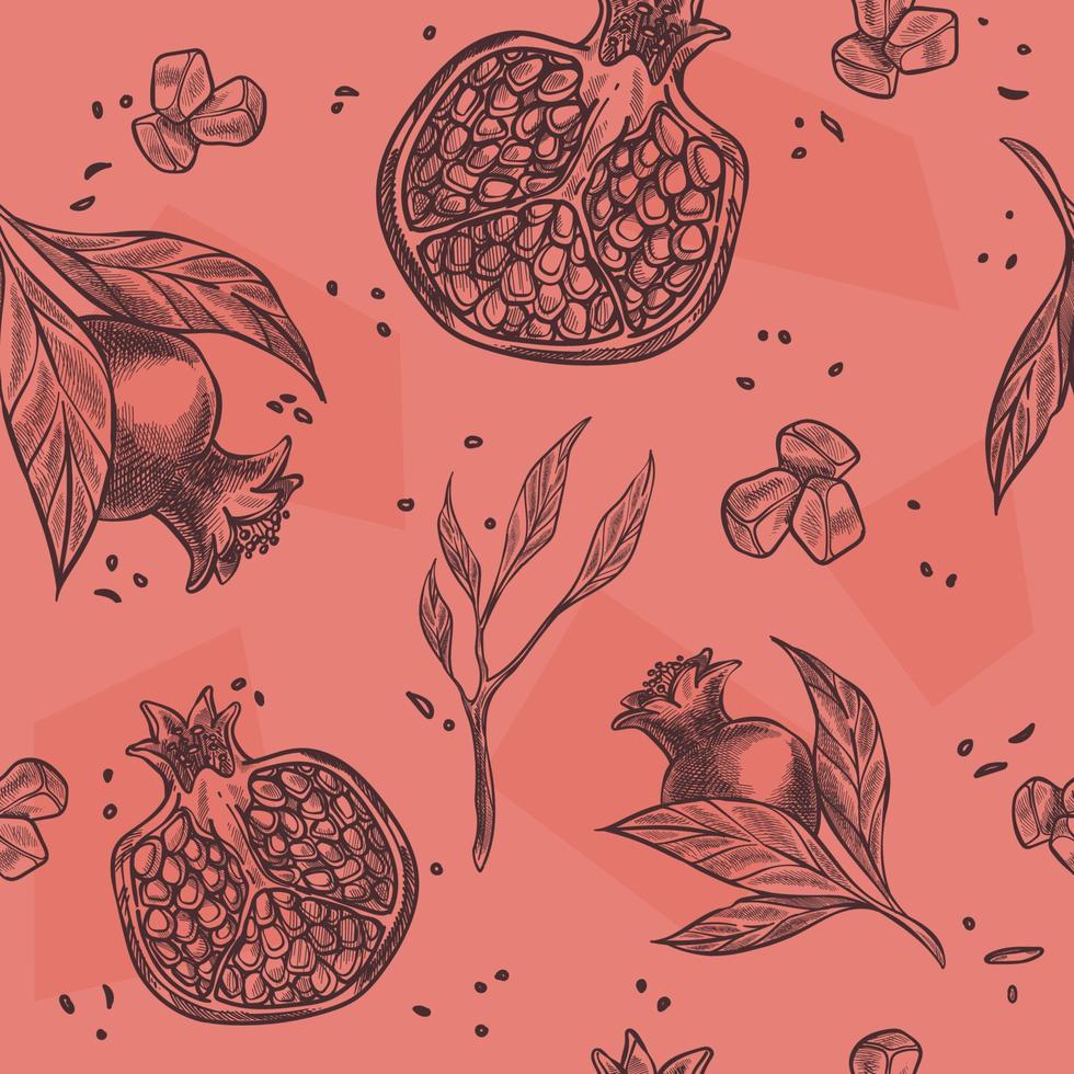 Ice cubes and pomegranate seeds and branch print vector
