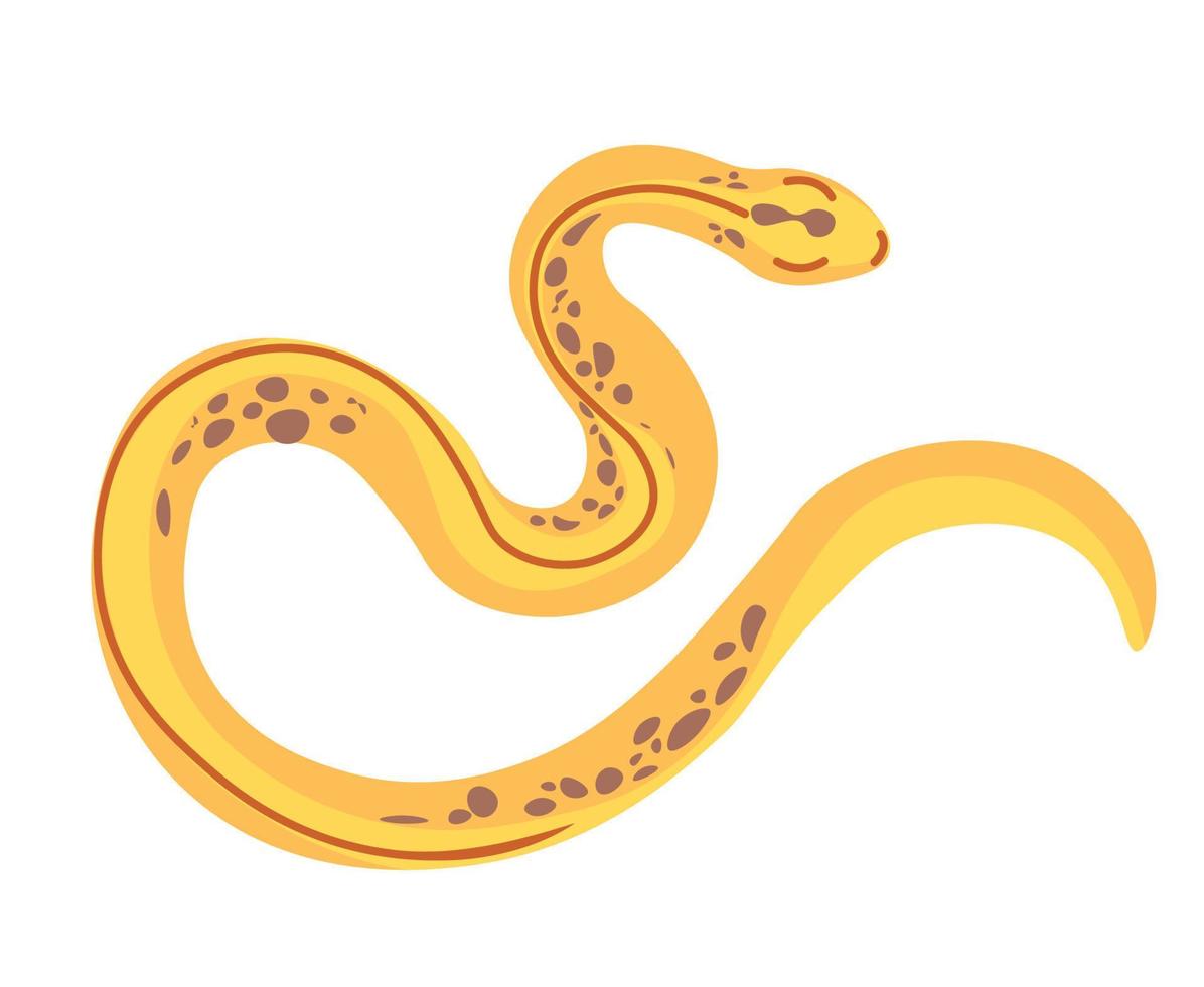 Tropical reptiles and serpents, yellow snakes vector