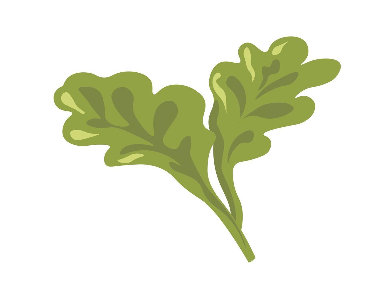 vegetal con hojas verdes, vector de follaje de primavera