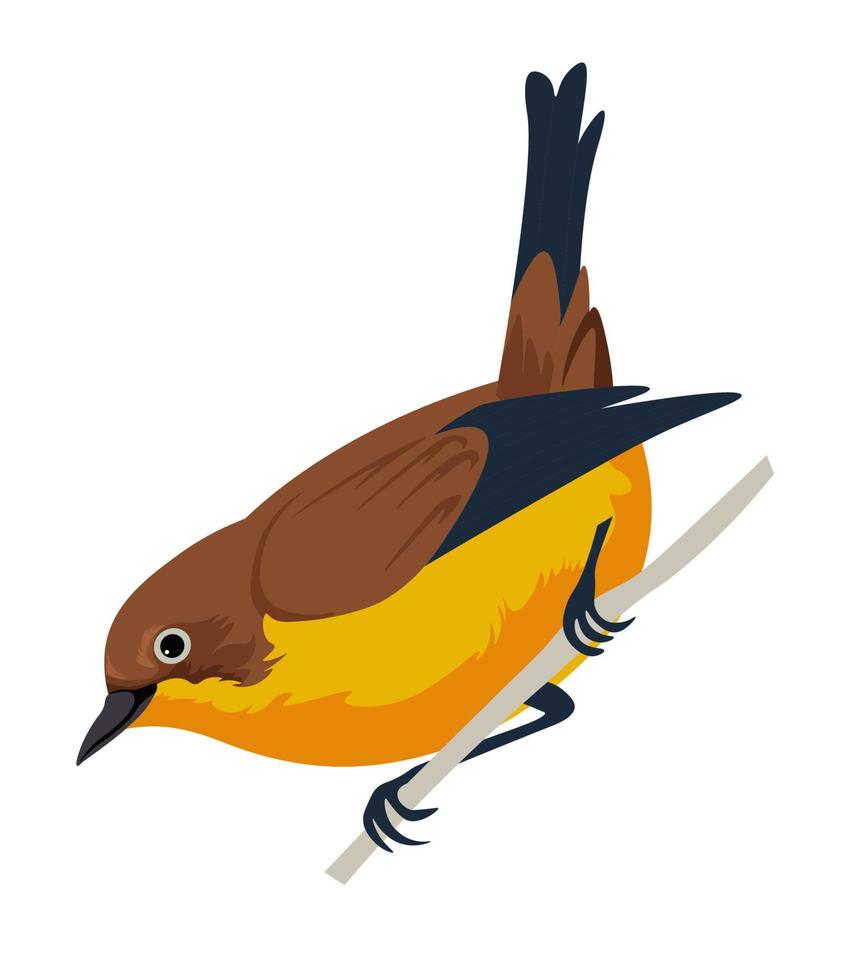 Avian animal species, bird sitting on branches vector