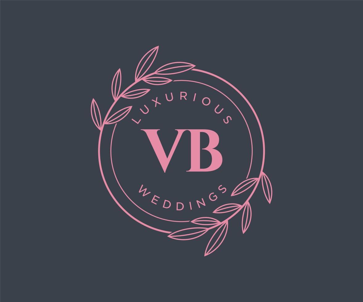VB Initials letter Wedding monogram logos template, hand drawn modern minimalistic and floral templates for Invitation cards, Save the Date, elegant identity. vector
