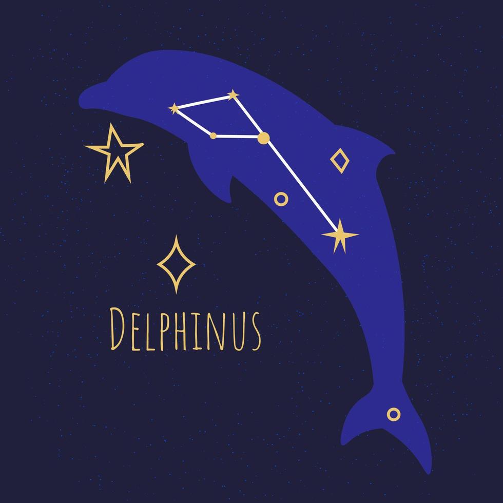 Constellation of delphinus, dolphin star shape vector