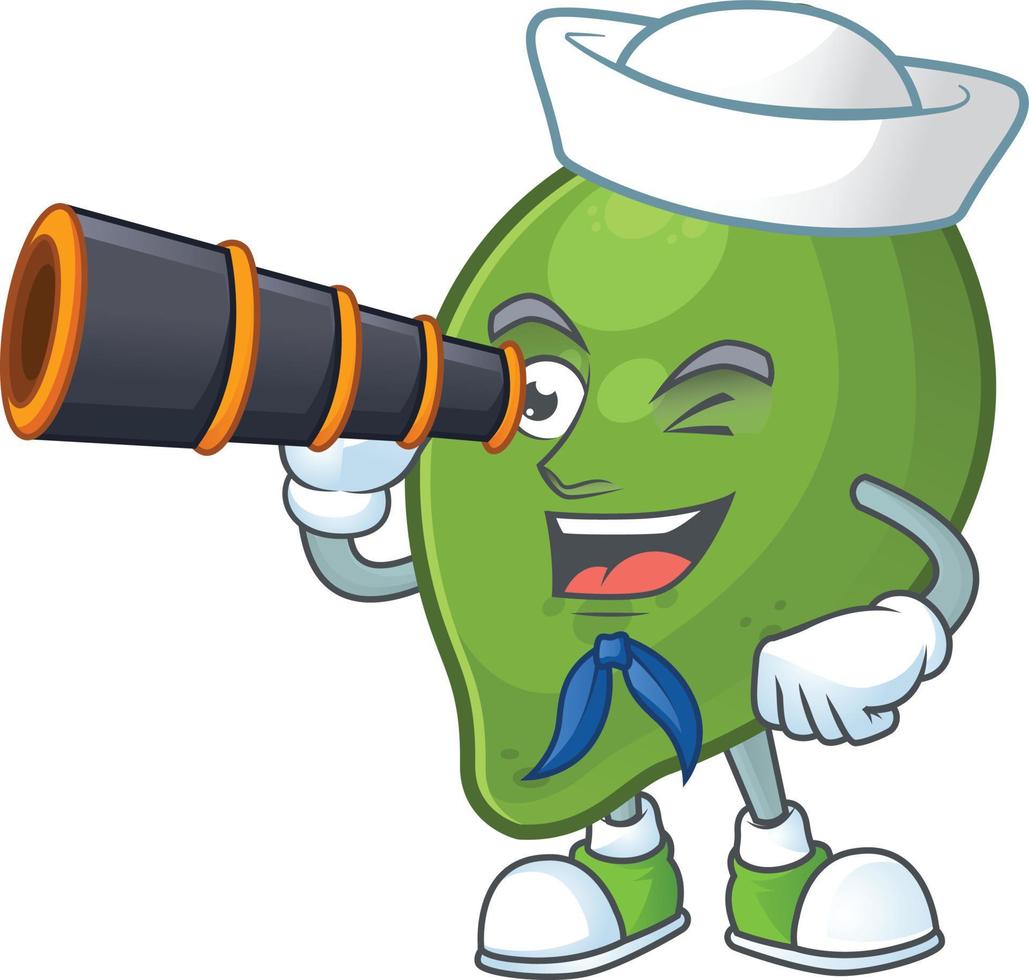 Lime Fruit Vector