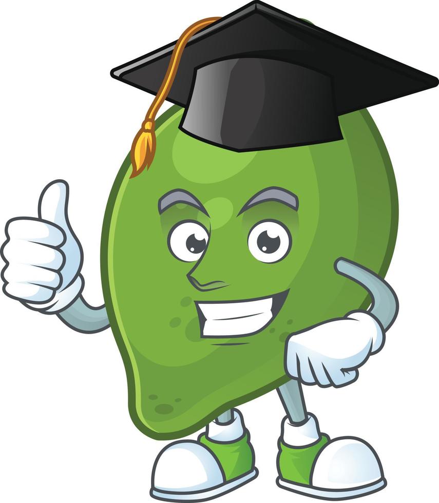 Lime Fruit Vector