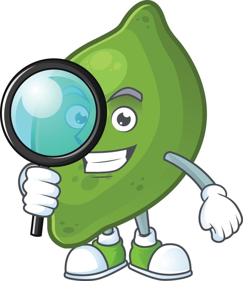 Lime Fruit Vector