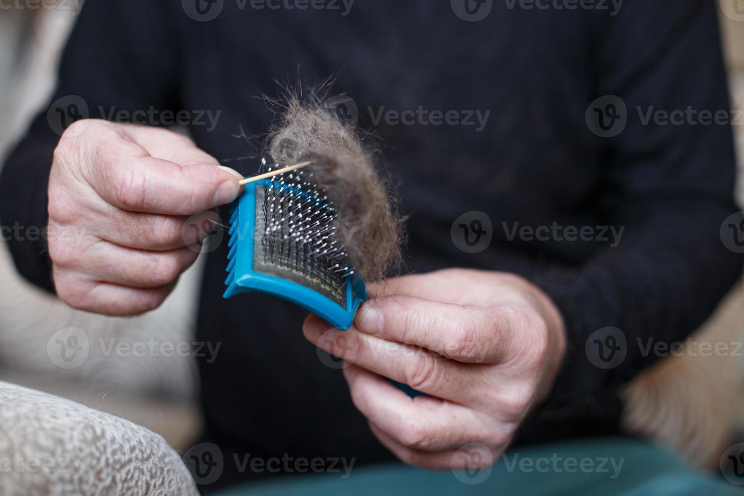 A man's hand holding the cat comb brush with gray fur and cleaning it photo