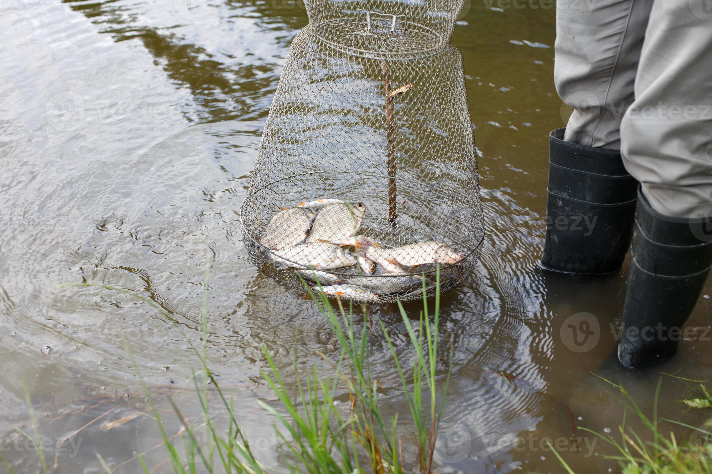 fisherman lifts a fish net. Metal mesh cage is installed in the river water near the shore