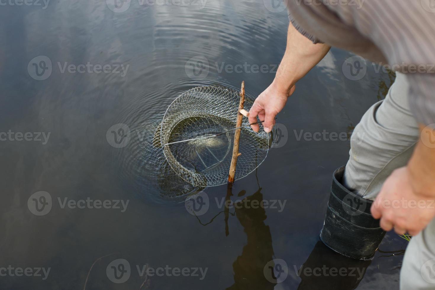 fisherman lifts a fish net. Metal mesh cage is installed in the river water near the shore. photo