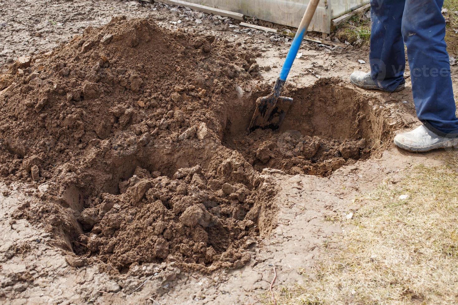 man digging a hole for planting a fruit tree in the garden photo