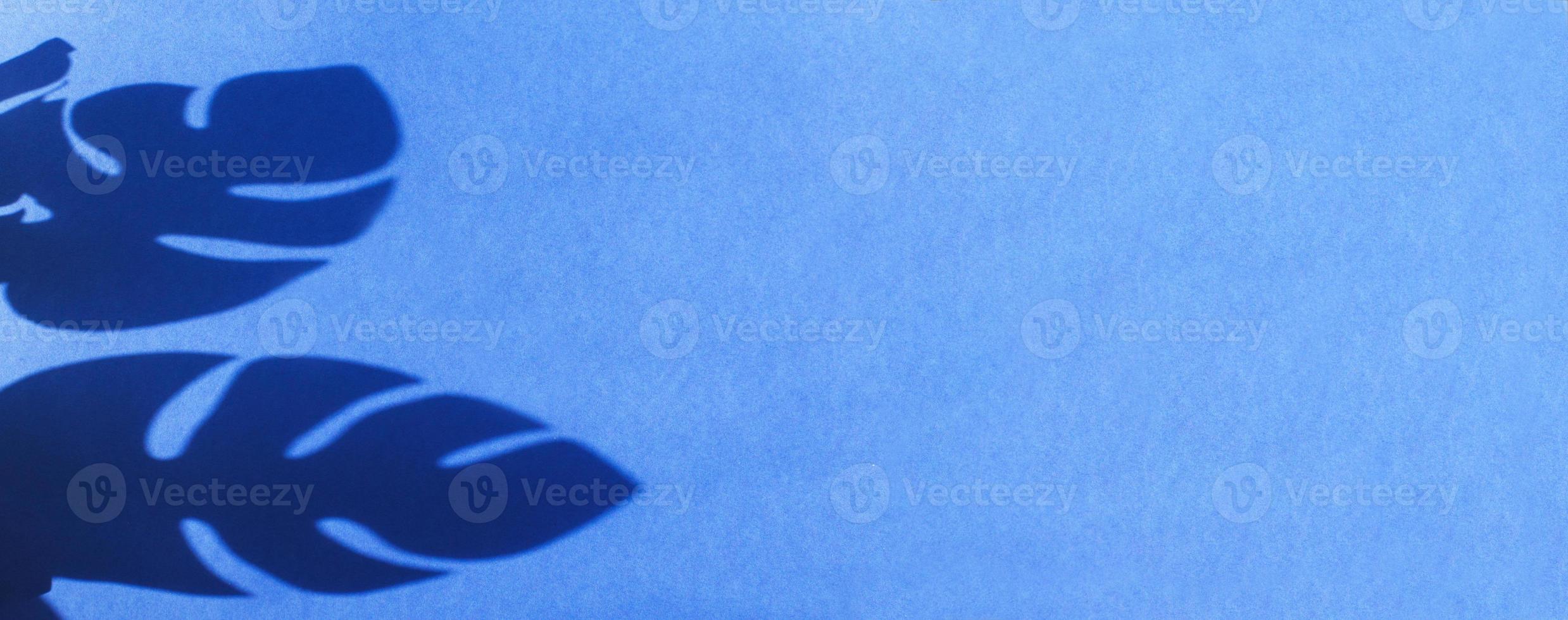 monstera leaf shadow on blue background with space for text. nature background photo