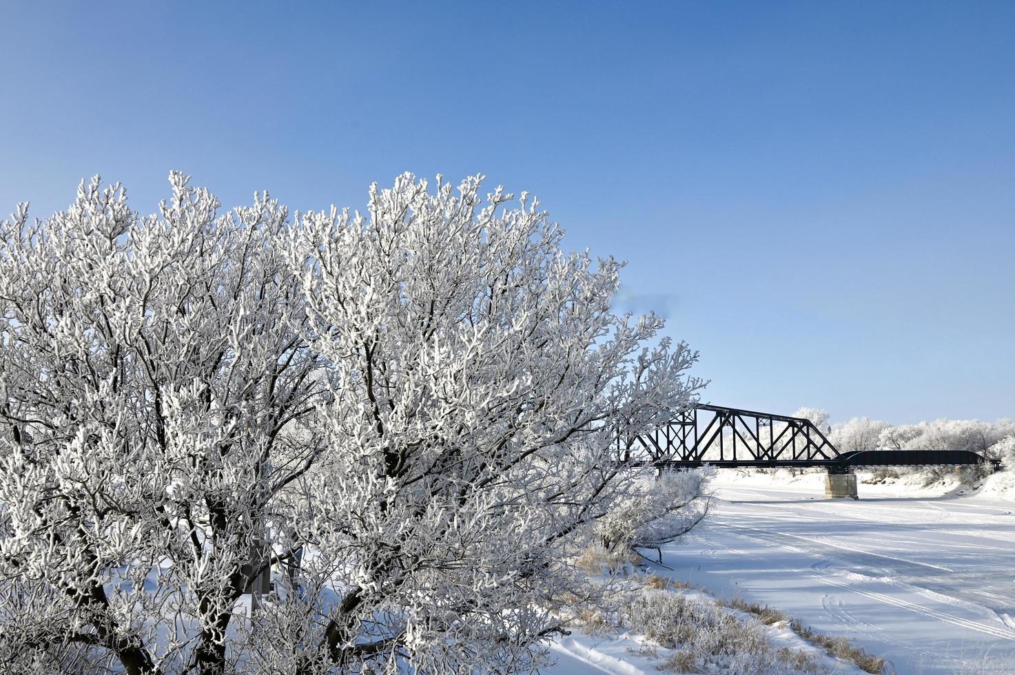 a railway bridge hidden by frost covered trees photo