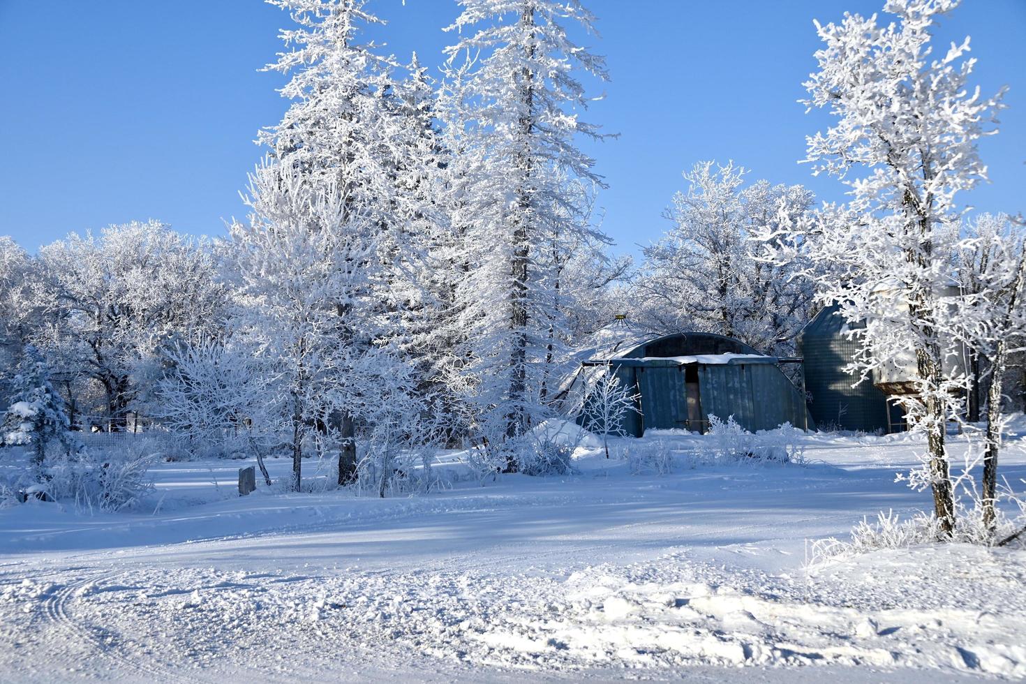 a farm yard with frost covered trees photo