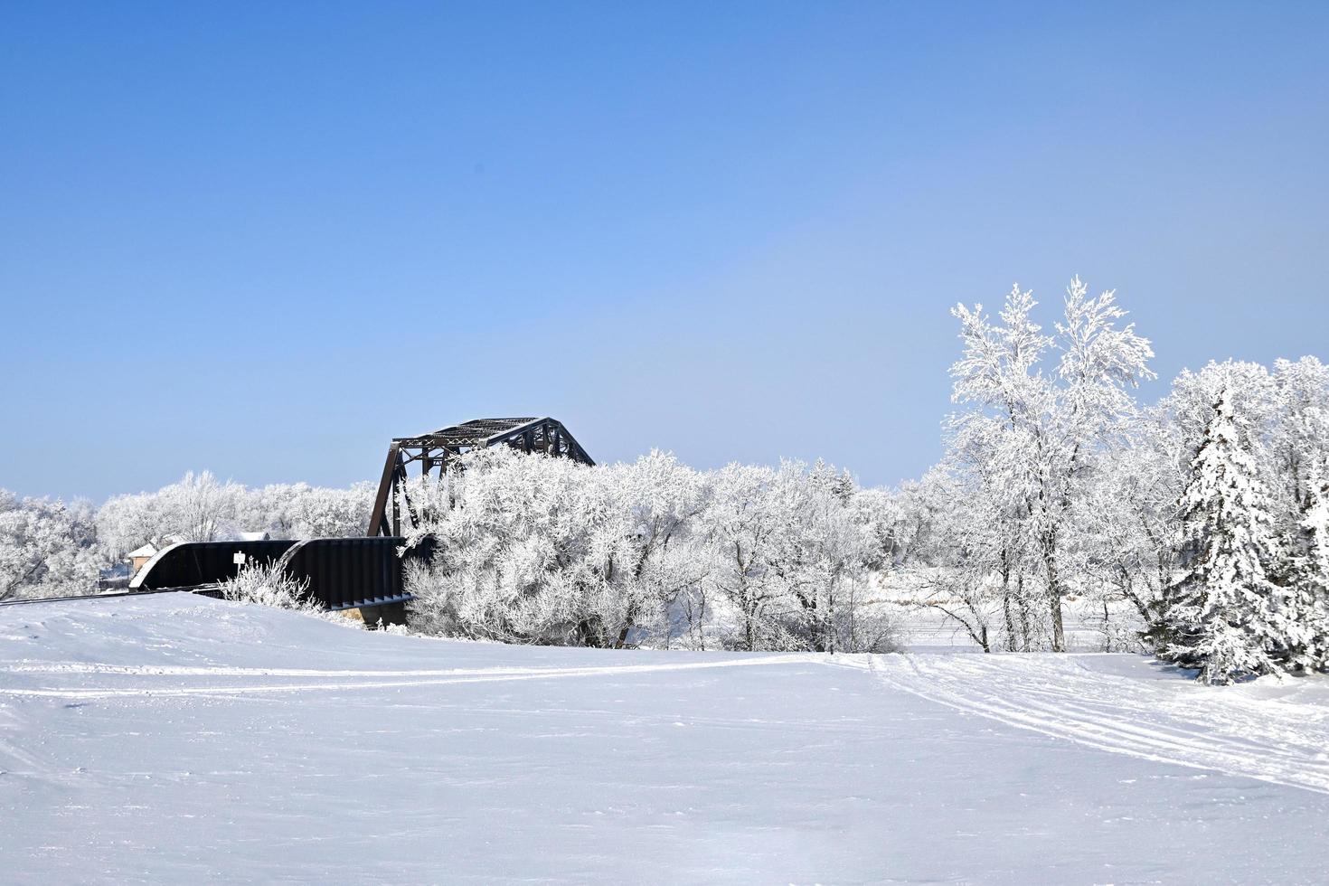 a railway bridge hidden by frost covered trees photo