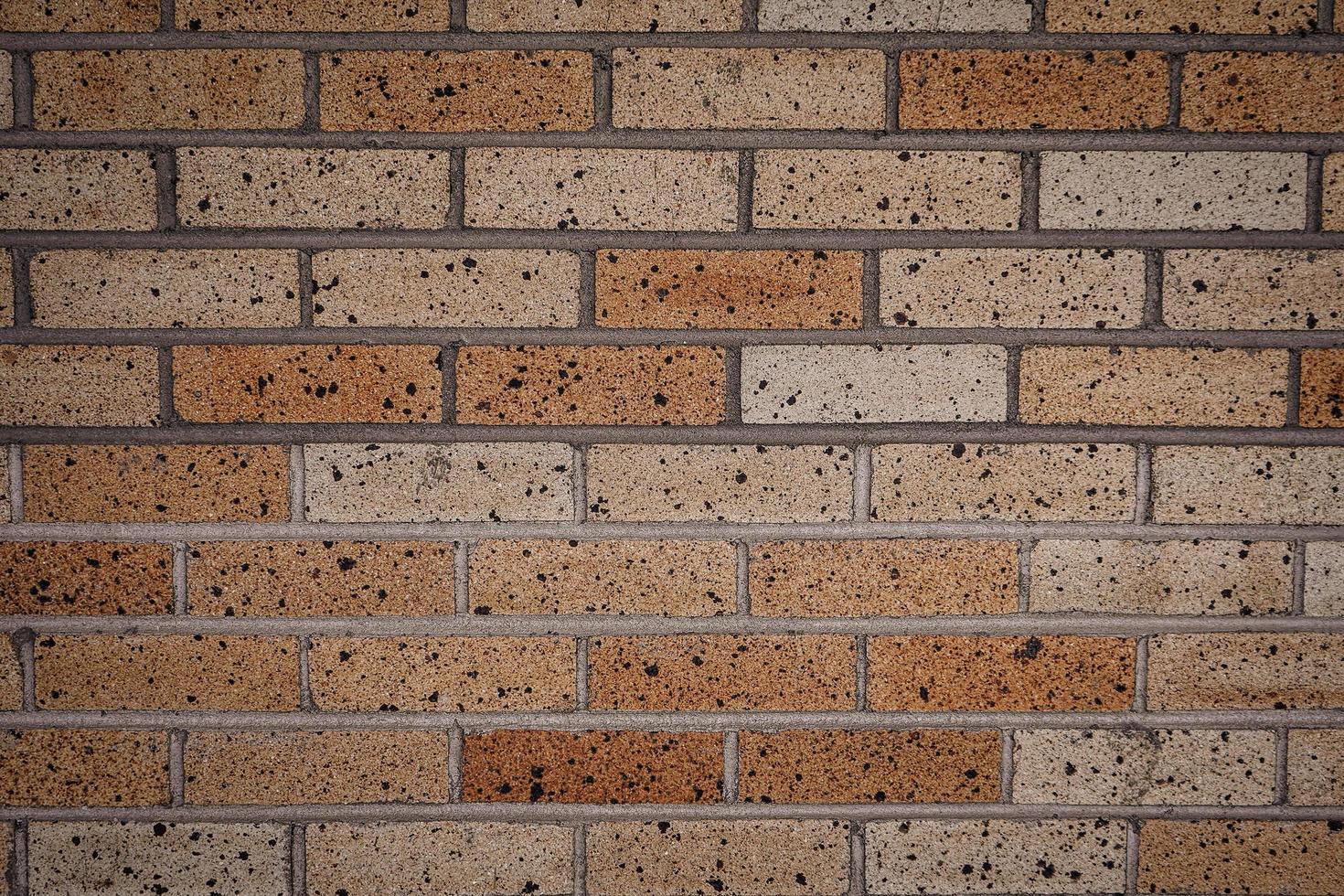 Detailed Brick Wall photo