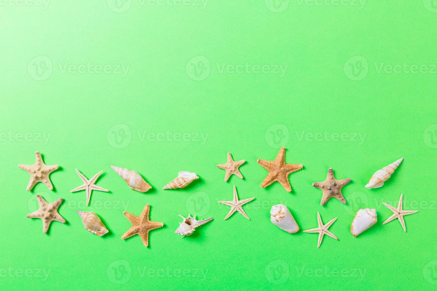 A lot of seashells and starfishon green background with copy space photo