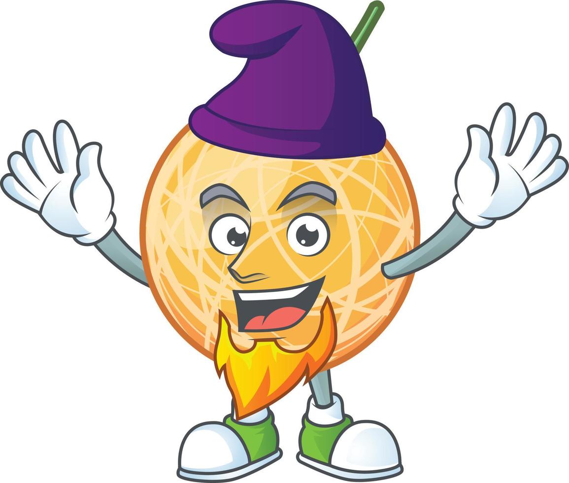 Cantaloupe Fruit Vector