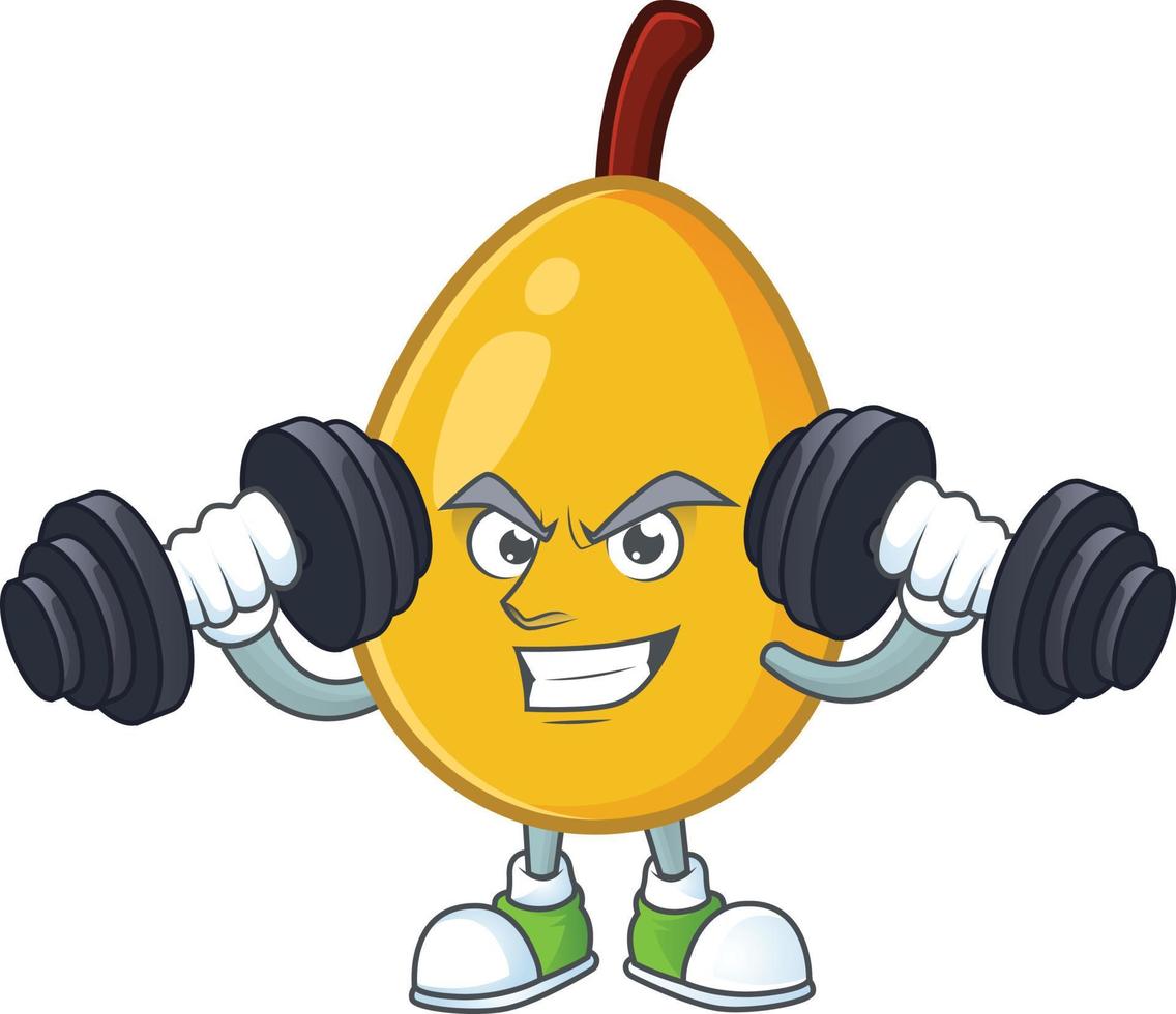 Loquat Fruit Vector