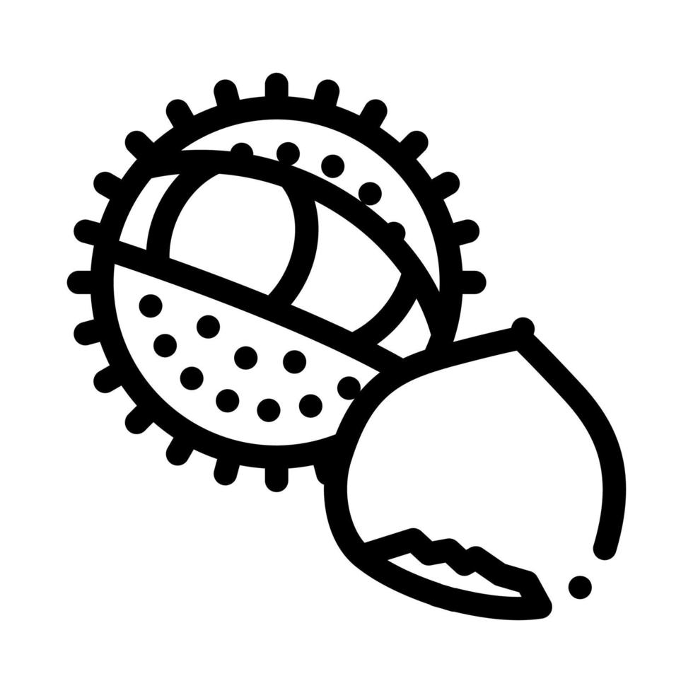 chestnut nut icon vector outline illustration