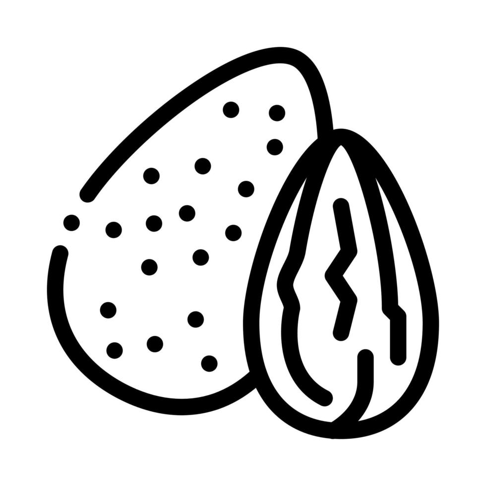 ilustración de contorno de vector de icono de nuez de almendra