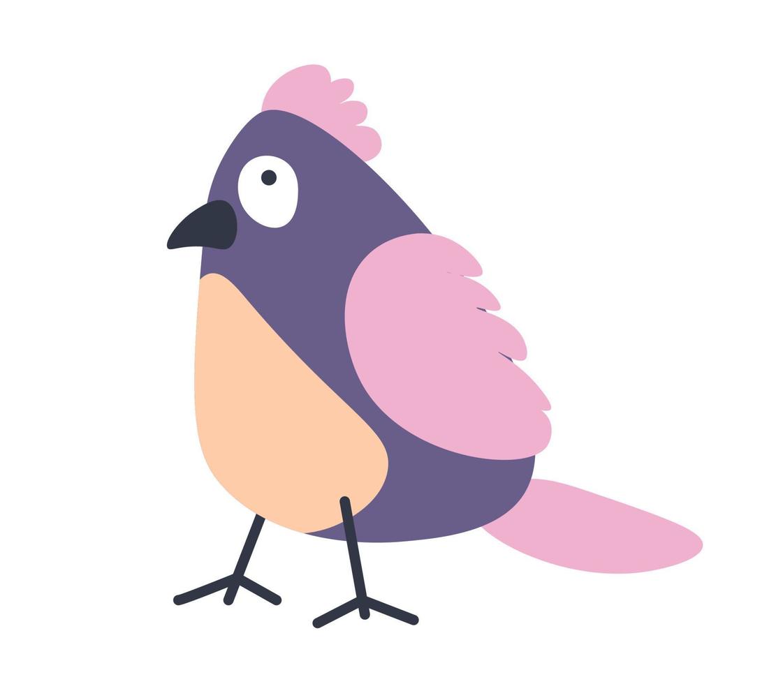 Avian animal with colorful plumage portrait vector