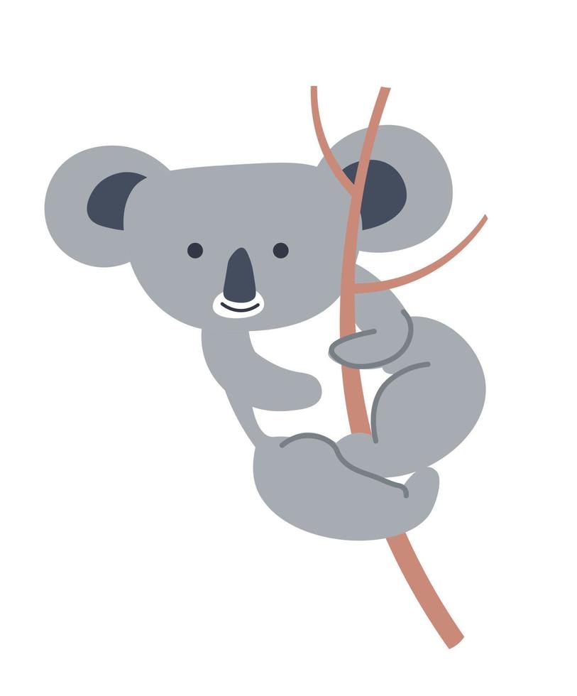 Koala animal sitting on branch, furry mammals vector